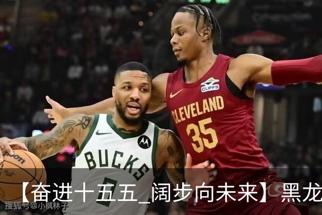 【奋进十五五 阔步向未来】黑龙江农机产业正加速迈向高端化智能化绿色化